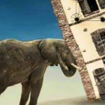 �� ���� ���� ��� ������