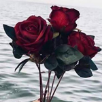 ������� �� ���� ������ ����� ��������