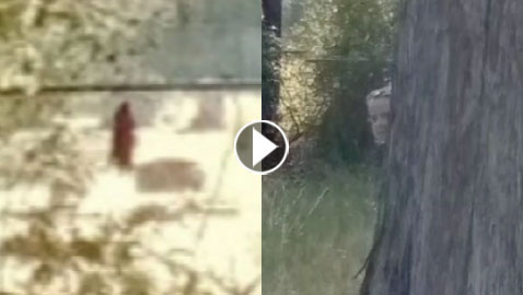 فيديو مخيف.. ظهور شبح طفلة متوفاة وسط مقبرة وخلفها شبح الموت!