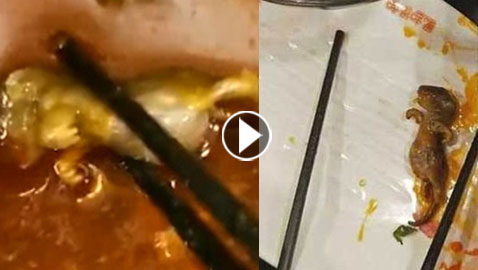 بالفيديو والصور.. فأر ميت في الحساء يكلف مطعما ملايين الدولارات