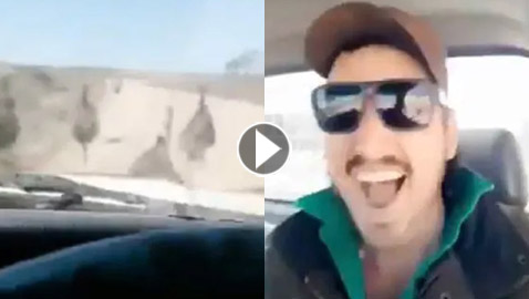 فيديو قاسي.. سائق أسترالي يقوم بدهس موكب من النعام عن عمد وهو يضحك!