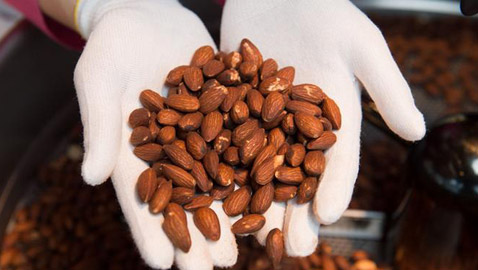  أغذية فيها سموم خطيرة قد تقتلك: بينها الفاصوليا الخضراء، اللوز والفطر!