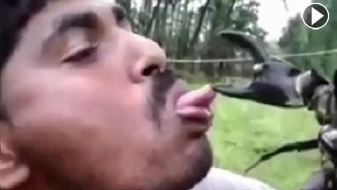 فيديو صادم.. رجل هندي مازح سلطعون حتى انقض على لسانه