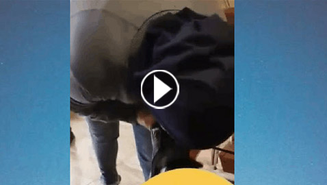  فيديو اشعل الغضب: معاون بجيش لبنان يجبر امرأة على تقبيل قدم زوجته