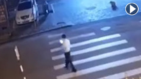 فيديو مروع: نهاية رجل انشغل بهاتفه لحظة عبوره الشارع
