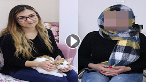 بالفيديو والصور.. القطط تتسبب في فقدان بصر تركيتين
