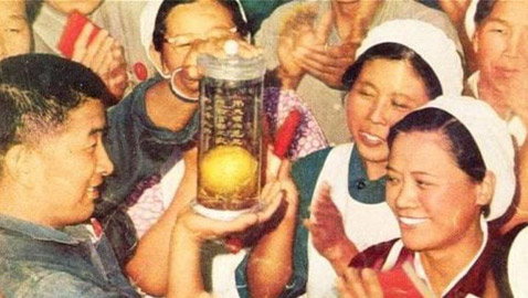 الصين قدست فاكهة المانغو بشكل هستيري أثار ذهول العالم بأسره!