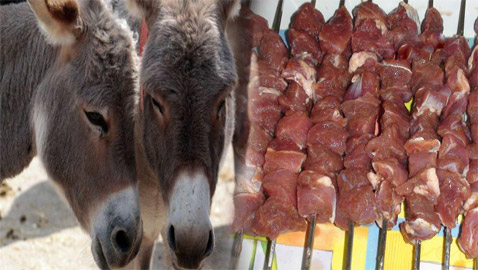 غضب في الجزائر بعد السماح باستيراد لحوم البغال والحمير