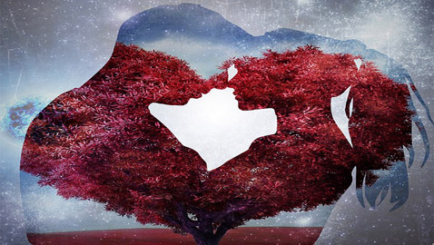 مع اقراب عيد الفالنتاين.. تعرفوا إلى شخصيات الأبراج في الحب