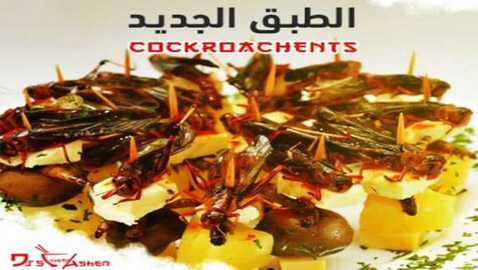 طبق صراصير صيني في مطعم مصري بالتوابل بـ60 جنيه! ما الحقيقة؟