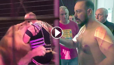 فيديو وصور صادمة: أسد فى سيرك بأوكرانيا يهاجم مدربه المصري!