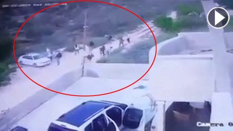 فيديو صادم: مستوطنون يهود يعتدون على عائلة فلسطينية