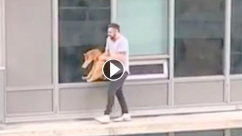 بالفيديو: رجل يخاطر بحياته لإنقاذ قطته المدللة