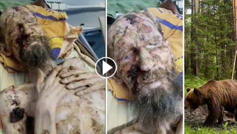 بالفيديو والصور: إنقاذ رجل روسي اختطفه دب وخبأه لمدة شهر كامل!