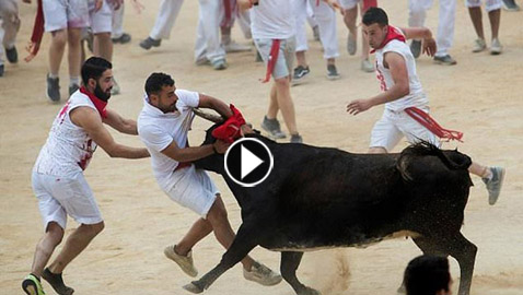 صور وفيديو: إصابة 5 أشخاص في سباق الثيران الهائجة في اسبانيا.. تعرّضوا للنطح! 