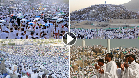 ضيوف الرحمن يتوافدون إلى عرفات لأداء الركن الأعظم في الحج