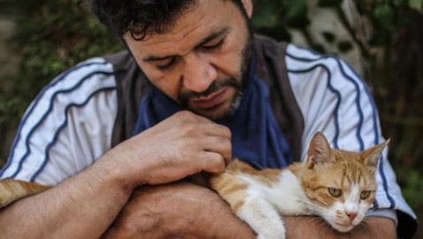 محمد علاء.. سوري ينقذ القطط من نيران الحرب