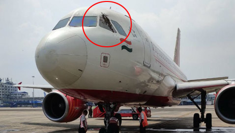 سرب من النحل يعيق إقلاع رحلة طيران هندية لساعات ويهاجم الموظفين!