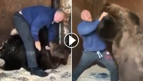 بالفيديو.. مقاتل روسي يصارع دبا ضخما ويطرحه أرضا!