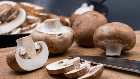 دراسة تكشف أهمية الفطر في القضاء على السرطان