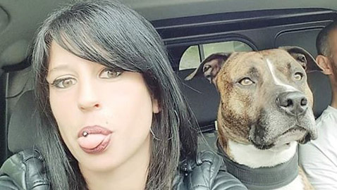 ذهبت للتنزه مع كلبها.. فقتلتها مجموعة من كلاب الصيد في فرنسا!