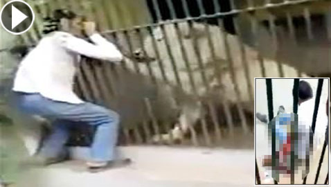 فيديو صادم.. أسد ينهش ذراع حارسه أثناء إطعامه في هجوم مباغت غادر!