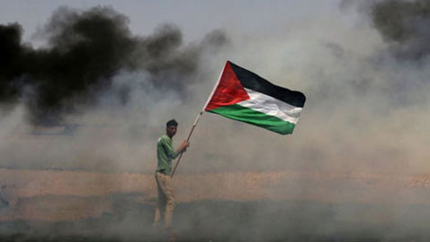 الجنائية الدولية تفتح تحقيقا في جرائم حرب في فلسطين