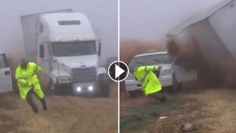 التقط بالصدفة البحتة.. فيديو 