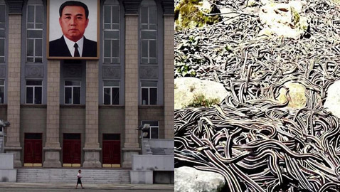 4 مناطق ممنوع زيارتها في العالم