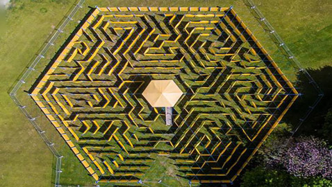 أكبر متاهة في العالم بأبو ظبي.. تحتاج لمهارتين فقط للخروج منها!