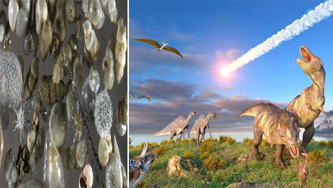اكتشافات جديدة تثير الجدل حول كيفية انقراض الديناصورات