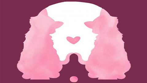 إختبار: أول شيء تراه في الصورة سيكشف حياتك العاطفية!