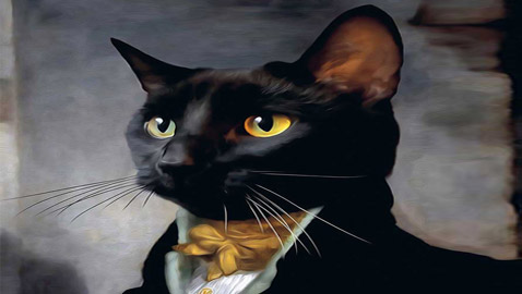 قط مرشح للانتخابات البلدية في فرنسا!