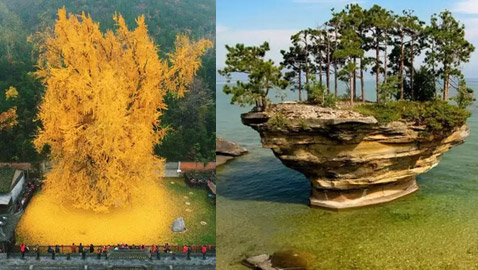 مشاهد مبهرة لأغرب الأشياء النادرة