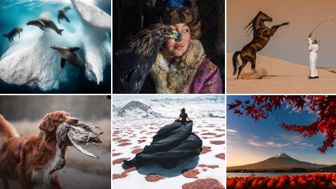 أجمل الصور الفائزة بمسابقة جوائز سوني للتصوير لعام 2020