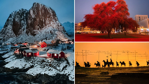 صور رائعة.. إليكم الفائزين في مسابقة التصوير بواسطة آيفون 11