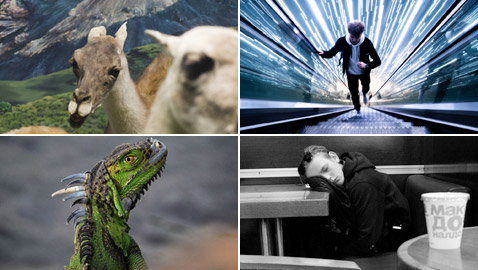 القائمة القصيرة لجوائز سوني العالمية للتصوير في فئتي الطلاب والشباب