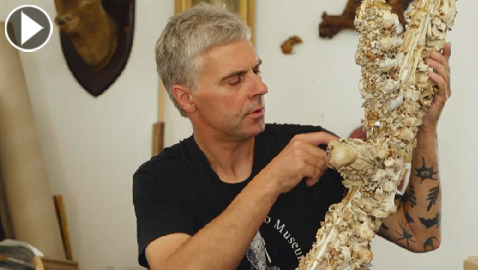 فنان أقام متحفا غريبا يحوي منحوتات من مئات العظام والجماجم  