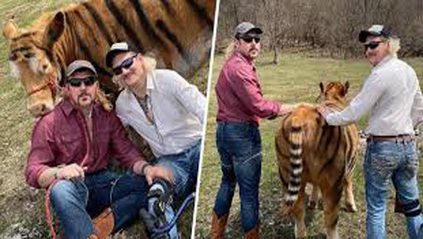 تحد جديد يجتاح الإنترنت.. و