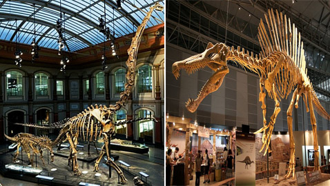 بالصور: إليكم أجمل 5 متاحف طبيعية للديناصورات حول العالم