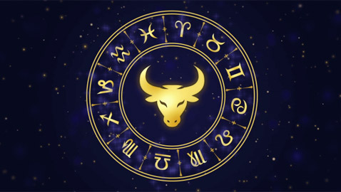 كل ما تريد معرفته عن 