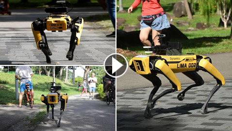 كلب آلي يتجول في متنزهات سنغافورة لحث الناس على التباعد الاجتماعي