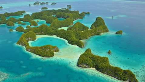 منها أعماق البحر الأحمر في مصر..تعرف على أفضل وجهات الغوص حول العالم