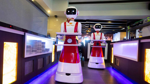 بالصور.. نادل آلي يستقبلك بـ