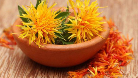 علماء: نبات 