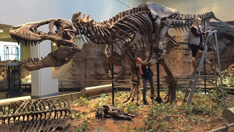 أجمل متاحف الديناصورات حول العالم