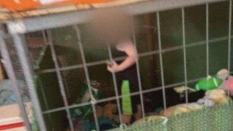 حادثة صادمة.. العثور على طفل صغير داخل قفص محاطا بالثعابين