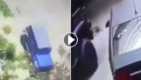 فيديو مزعج ومؤلم.. مصري يعذب كلبا فيقتله بعدما ربطه وسحبه بسيارته!