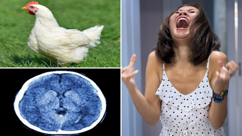 أطباء يفسرون حالة نفسية نادرة لإمرأة تعتقد أنها دجاجة وتتصرف مثلها!