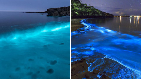 صور: أشهر وأجمل الشواطئ المتوهجة.. تتوهج في الظلام بشكل سحري!